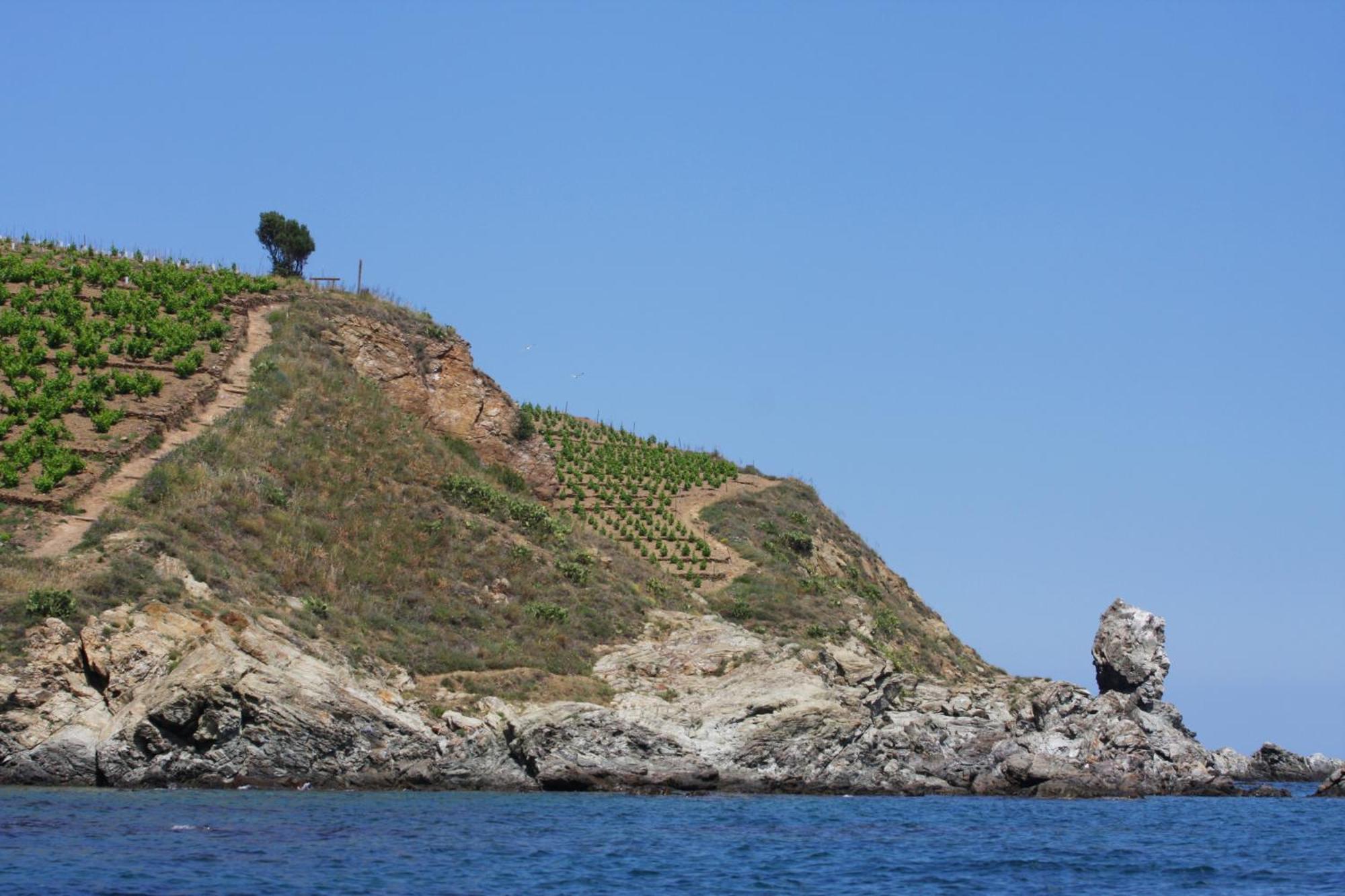 Logis Hotel Solhotel Banyuls-sur-Mer Esterno foto
