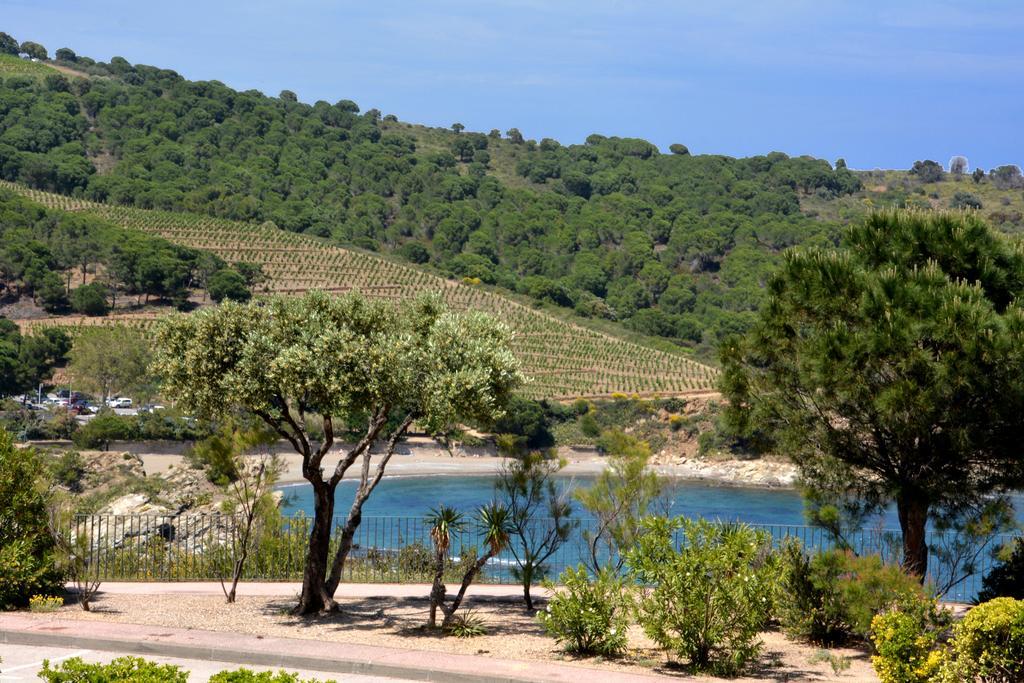 Logis Hotel Solhotel Banyuls-sur-Mer Esterno foto