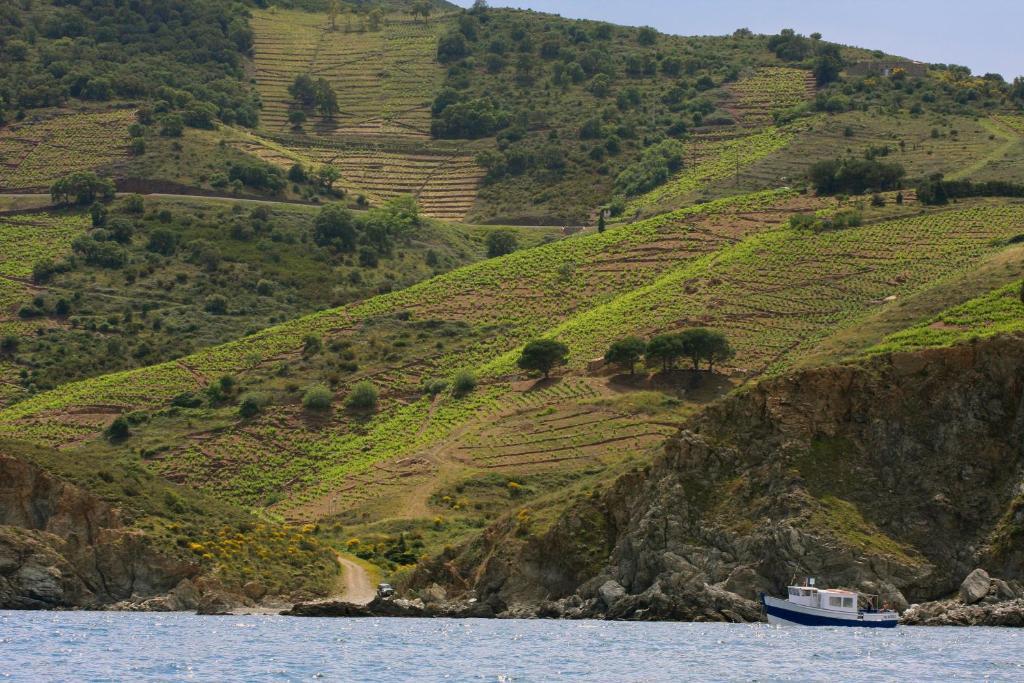 Logis Hotel Solhotel Banyuls-sur-Mer Esterno foto